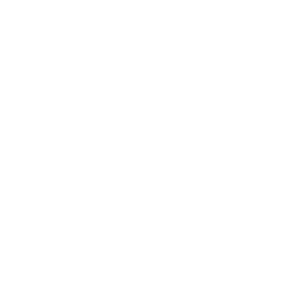 Megadox (Capsule 100mg)